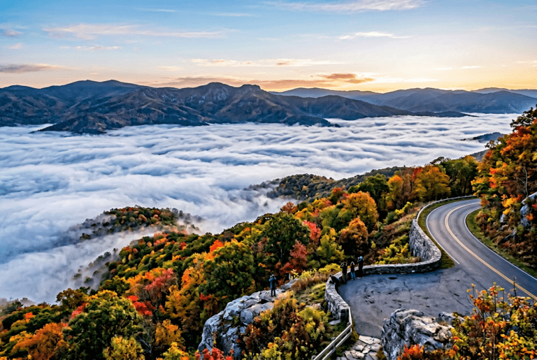 Inside Shenandoah National Park